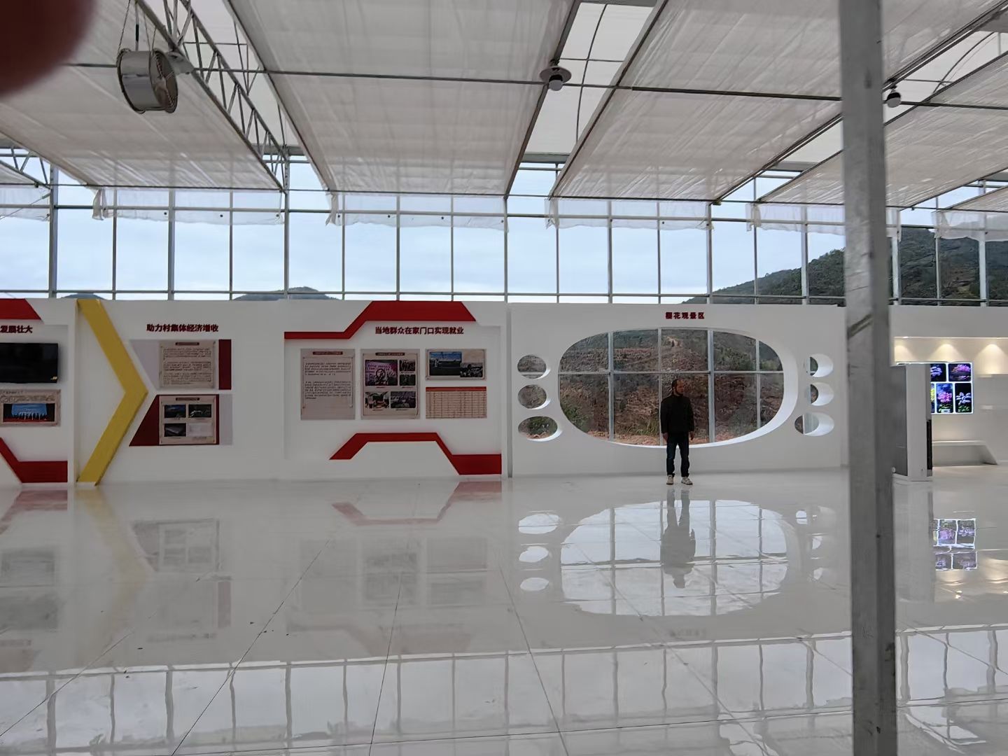 清遠(yuǎn)展廳裝修設(shè)計公司蝴蝶花開紅色黨建展廳裝修設(shè)計